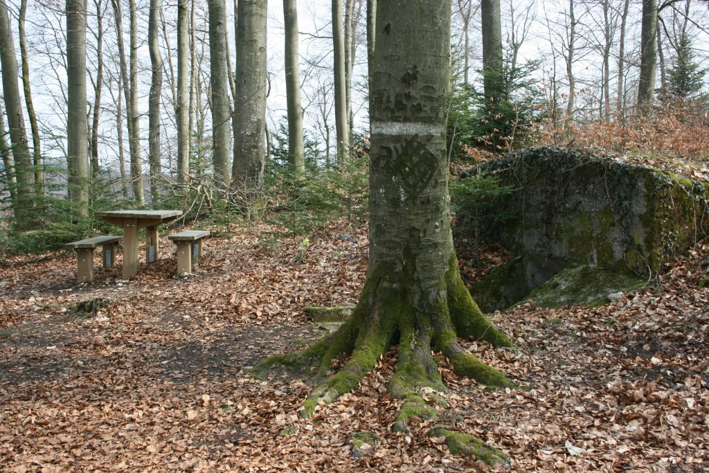 Le Kastelberg-1 Le Kastelberg-1